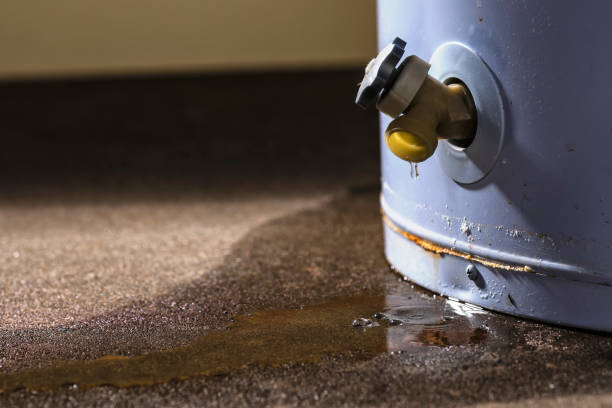 Best Commercial water damage restoration  in West Canton, NC