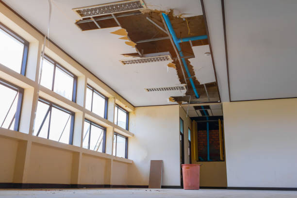 Best Water damage restoration experts  in West Canton, NC