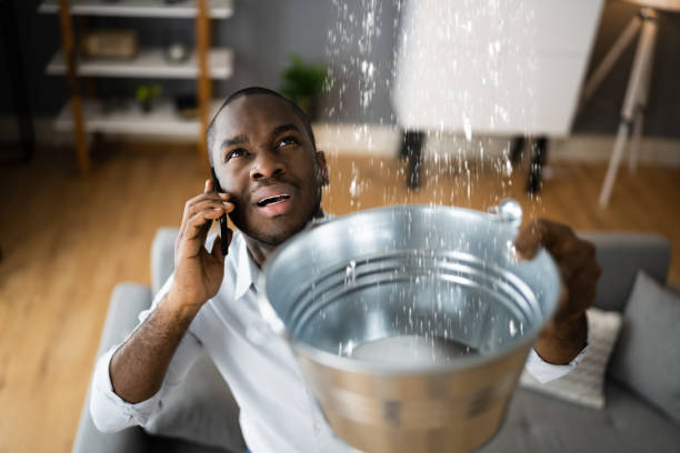 Best Water damage restoration near me  in West Canton, NC
