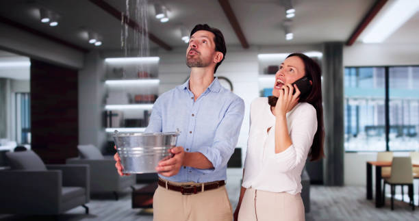 Best Flood restoration services  in West Canton, NC